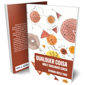 Qualquer Coisa Não é Qualquer Coisa